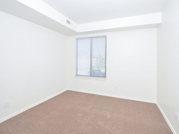 Bedrooms with Carpet